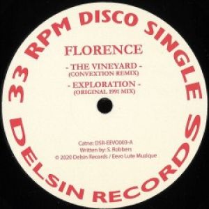 THE VINEYARD (CONVEXTION / PETER FORD RMXS)