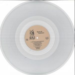 THE TRUTH OF SELF EVIDENCE (CLEAR VINYL)