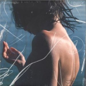 THE BEAUTY OF A POLAROID