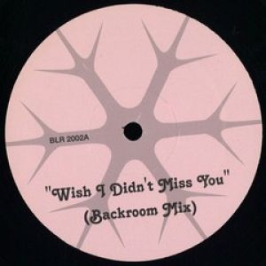 I WISH I DIDN'T MISS YOU / MANHASSETT