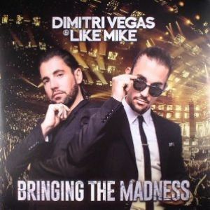 BRINGING THE MADNESS (2XLP)