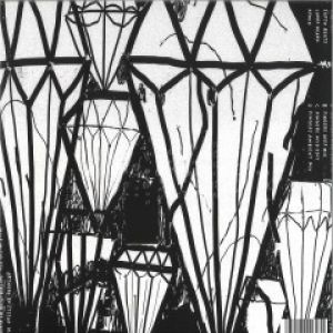 EARTH BEATS LIVE & LARRY HEARD REMIX