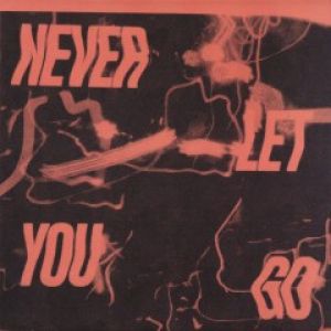NEVER LET YOU GO EP