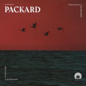 PACKARD (MONKEY SAFARI/GORGE/GIORGIA ANGIULI RMXS)