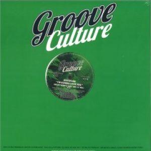 I'M GONNA LOVE YOU/SPECIAL LOVE (MICKY MORE/ANDY TEE RMXS)