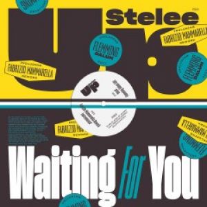 WAITING FOR YOU (FABRIZIO MAMMARELLA RMX)