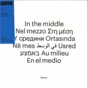 IN THE MIDDLE LP