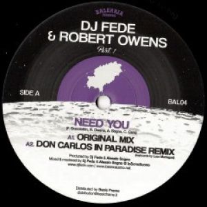 NEED YOU (DON CARLOS/LTJ EXPERIENCE RMXS)