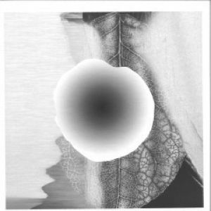 CAUSE AND EFFECT (NEEL RMX)