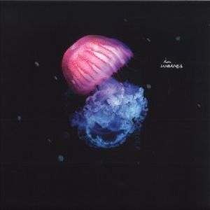 THE MOMENT IS FOREVER