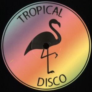 TROPICAL DISCO RECORDS VOL.27