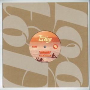 TOO SLOW TO DISCO EDITS 15 (2X10“)