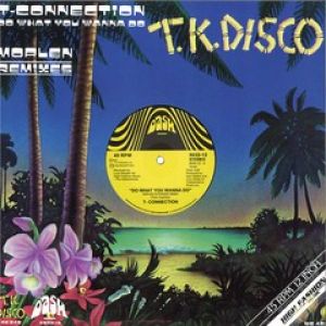 DO WHAT YOU WANNA DO (MOPLEN RMXS)