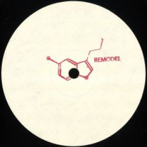 REMODEL 002