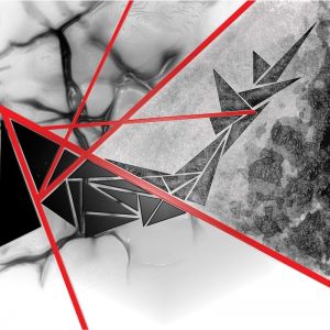 THE REAL LIFE OF JOHN MERRICK (HERCK RMX)