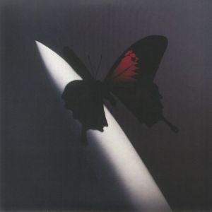 TWELVE CARAT TOOTHACHE 2XLP
