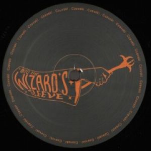 TUNING INTO YOU (AUDIO WERNER RMX)