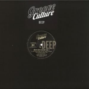 DEEP INTO HOUSE VOL.1