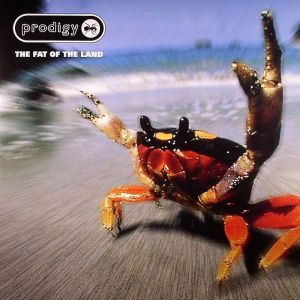 THE FAT OF THE LAND  2XLP