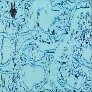 DRAG-O MIR EP (CABANNE/EDWARD RMXS)