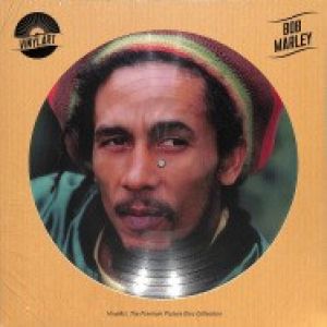 VINYLART THE PREMIUM PICTURE DISC