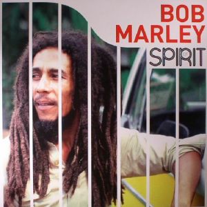SPIRIT (LP 180GR.)