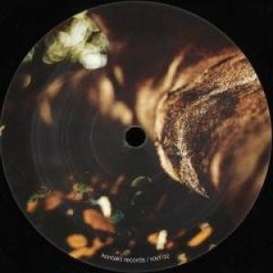 LEAVING THE GROUND (ROD MODELL RMX)