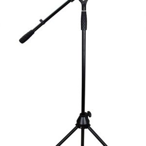 AM 11P Asta microfonica