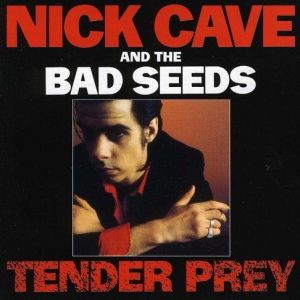 Tender Prey 180Gr LP