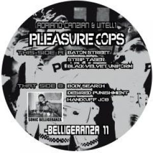 PLEASURE COPS