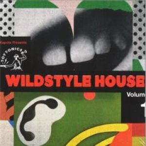 WILDSTYLE HOUSE VOL.1 2XLP