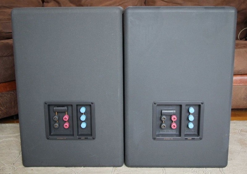 COPPIA Tannoy System 12 DMT Studio Monitors USATO