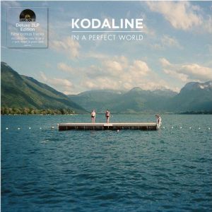 In A Perfect World (Rsd 2026) 2XLP