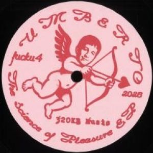 THE SCIENCE OF PLEASURE EP