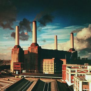 ANIMALS LP