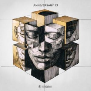 STEYOYOKE ANNIVERSARY VOL.13 (2xLP)