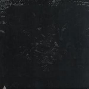 ILVADER